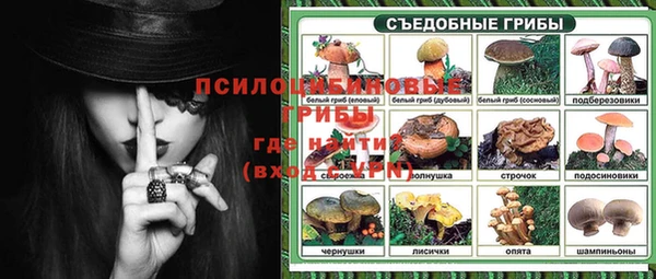гидра Алексин